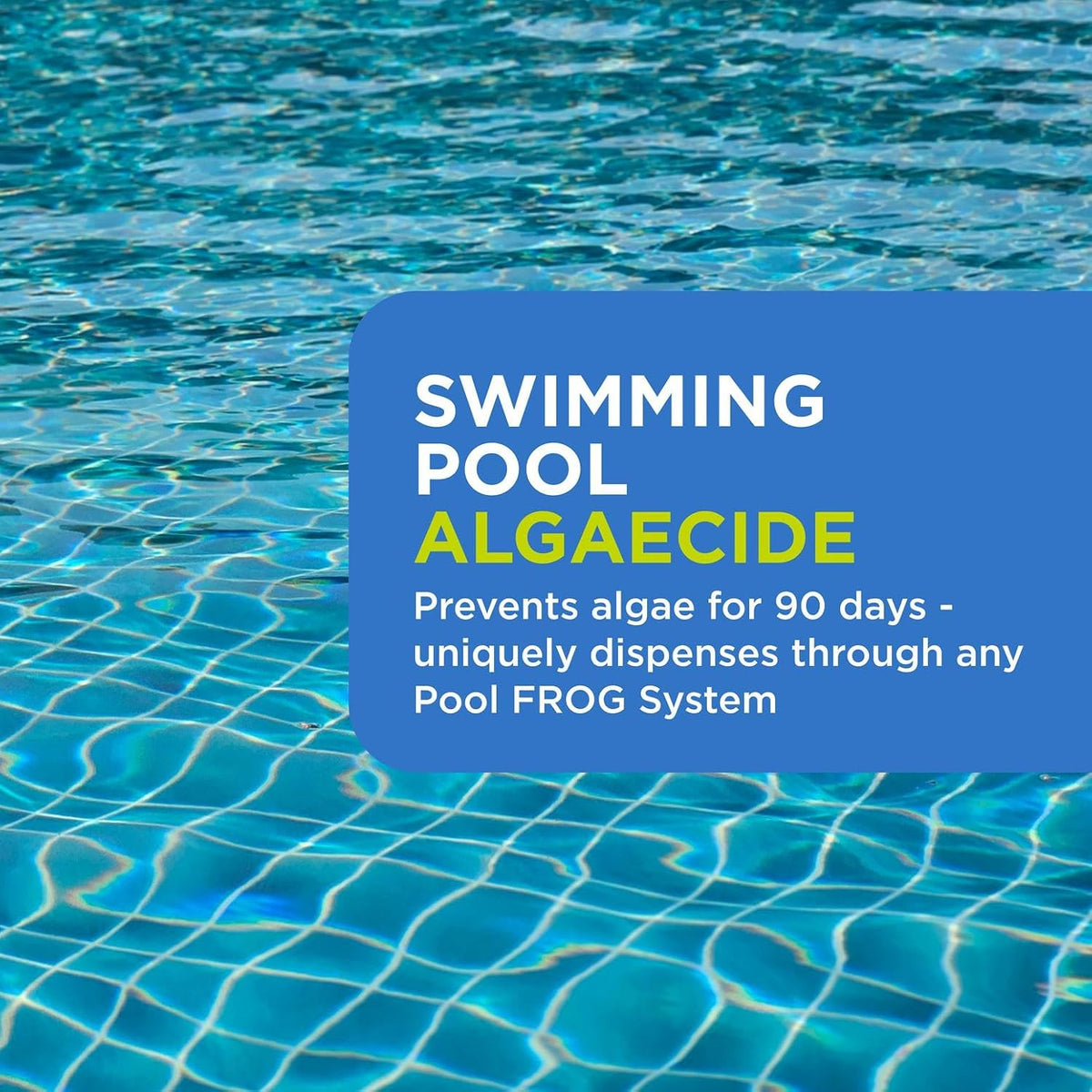 FROG Bam Liquid Algaecide