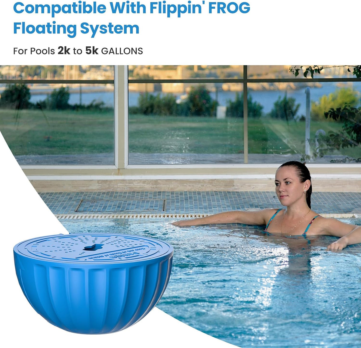 FROG Flippin Frog Chlorine Cartridge